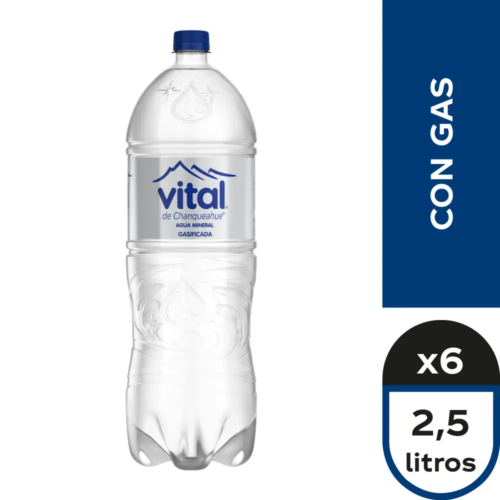 [17835] VITAL C/ GAS 2.5 L